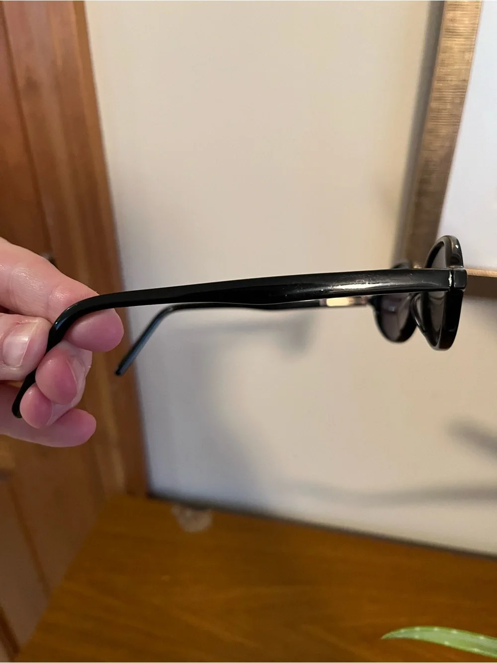 J. Crew Black Oval Women's Sunglasses